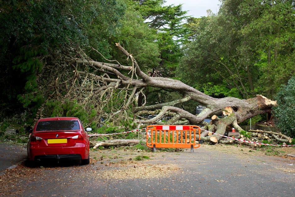 A black Audi car has collided with a fallen tree trunk, causing significant damage to the front bumper, grille, and left headlight, with the tree resting on the hood and partially covering the windshi